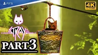 STRAY Walkthrough Gameplay PS5 [4K60] Part 3 - THE ROOFTOPS  [FULL GAME]