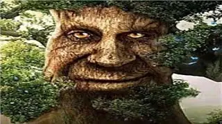 🧙Разоблачение на Мудрое Дерево (Дуб)