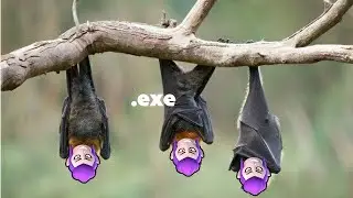 Brawl Stars | MORTIS.exe | The Useless Brawler
