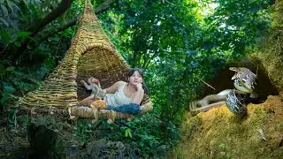 Terrifying Rain Forest: Parasitic Leeches, Snakes and Dangers/ Wild Beauty Returns, Part 1