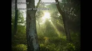 Psyhound - Disconnected [Official Video Clip]