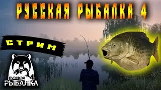 ▶ ФАРМИМ ЛОВИМ ОБЩАЕМСЯ | РУССКАЯ РЫБАЛКА 4 | СТРИМ ▶ #shorts