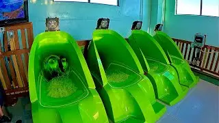 Mat Racing Water Slide at Great Wolf Lodge | Perryville, USA