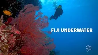 Diving Fiji's Vitu-i-Ra Park - 4K Sony a6500 Underwater
