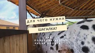 Шагалка | Для чего нужна? | Как пользоваться? | Какая польза?