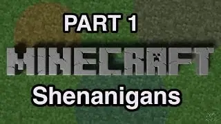 Minecraft Shenanigans - Part 1: 