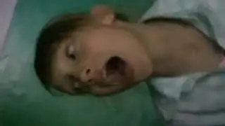 Собачимся