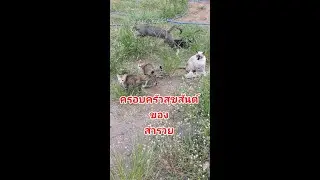 ครอบครัวสุขสันต์ของสำรวย