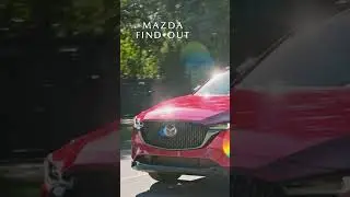 Your Journey Start Here | Passport Mazda