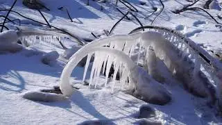 Winter on the Spit
