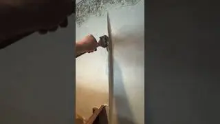 Wallpaper Seam Repair - Spencer Colgan