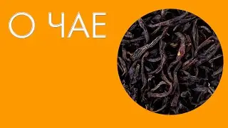 TEA! HISTORY OF ORIGIN, TYPES OF TEA - #33