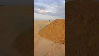 8 июля 2022 г.