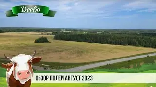 Обзор полей август 2023