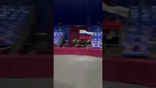 СИБИРСКИЙ ХАСКИ НЕСЕТ ФЛАГ 👀