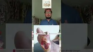 الحمدللہ 💖