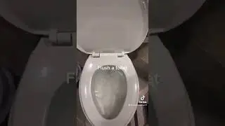 How to pour a bowl of cereal 🥣