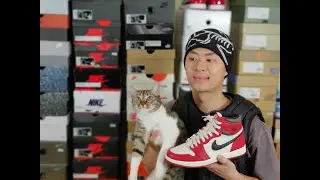 (part 3 of 3) my ENTIRE sneaker collection. regrets, grails, and more