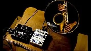 Mirrored Meandering #3: Drolo Molecular Disruptor + Nemesis Delay+ Saxophone