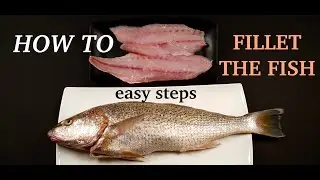 Learn To Fillet A Fish | HOW TO FILLET Any FISH In SIMPLE STEPS | with ZWILLING Kitchen Knife