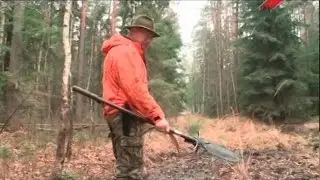 Hunting seopedia. Got wild boar with a spear
