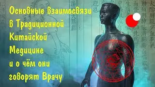 Основные взаимосвязи в Традиционной Китайской Медицине и о чём они говорят Врачу
