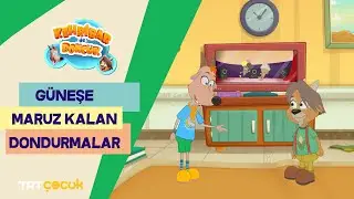 Kehribar ile Boncuk | Güneşe Maruz Kalan Dondurmalar