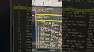 Spotify im Terminal