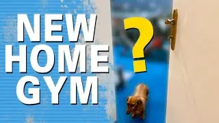 Vitám vás ve svém novém domácím fitku