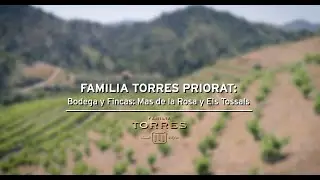 Familia Torres Priorat. Bodega y Fincas: Mas de la Rosa y Els Tossals