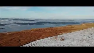 Kalėdiniai Kintai
