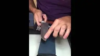 IMG 0574