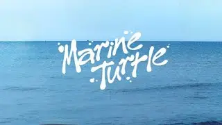 NCT U - 蓝洋海龟 Marine Turtle(EXO - M Vocal Line AI Cover)