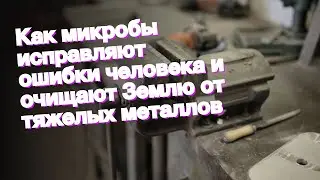 Как микробы исправляют ошибки человека и очищают Землю от тяжелых металлов