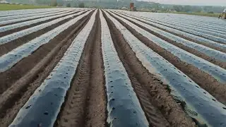🍓✅Нарезка бугров для клубники в Чувашии.