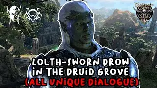 Lolth-Sworn Drow In The Druid Grove (All Unique Dialogue) [Baldur's Gate 3]