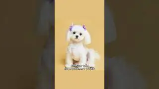 выбрали лучшую!