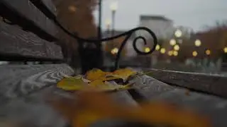 Наталья Шварц. Песни