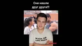 Они нашли друг друга😂 #shorts
