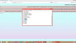 Day 8 - CSS Basics
