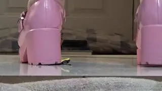 LIZZIE'S PINK ANIME SHOES Vs METAL CARS