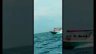 Ocean 🌊 /#shorts / vaishali mukesh