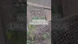 Wandering as a lost soul listening to Koel