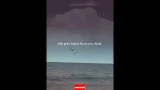 Truths About Psychology & Life: