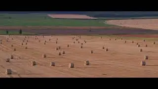 Bálák napja /2024/