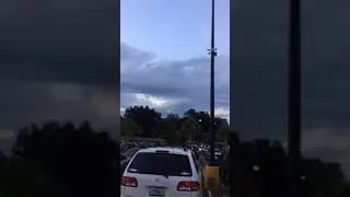 Hours before Irma came to Tampa. Erie bug/tree fly noise