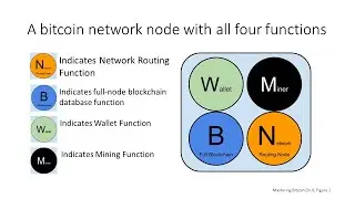 The Bitcoin Network