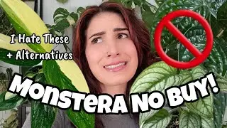 MONSTERA I HATE + ALTERNATIVES!! 🚫 houseplants I won't buy ever again plus good replacements 🌿