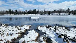This Beautiful Pond was Loaded with Beaver!! 8 Catches