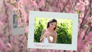 [VPJ] - Photo Gallery and Cherry Blossoms